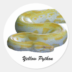 Gele Python-Stickers Ronde Sticker