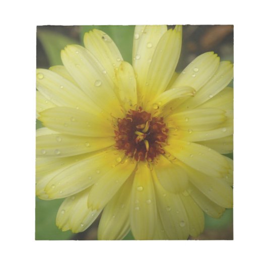 Gele Raindrops Marigold Notepad Notitieblok (Voorkant)