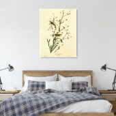 Gele Red-poll Warbler Audubon's Birds of America Canvas Afdruk (Insitu (Slaapkamer))