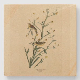 Gele Red-poll Warbler Audubon's Birds of America Stenen Onderzetter