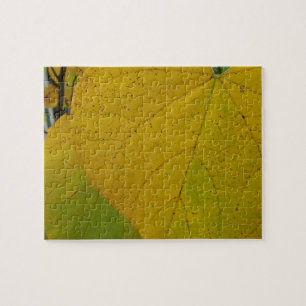 Gele Redbud laat de Natuur van de herfst Fotografi Legpuzzel
