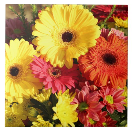 Gele rode Gerbera Chrysanthemum Flowers Tegeltje (Voorkant)