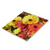 Gele rode Gerbera Chrysanthemum Flowers Tegeltje (Zijkant)