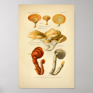  Gele Rode Paddenstoelen Kunst drukt Frans af Poster
