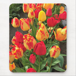 Gele & Rode Tulpen Muismat