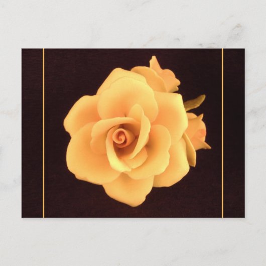 Gele Roos, 2004 Foto. Briefkaart (Voorkant)