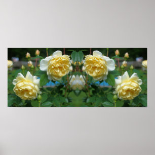 Gele roos bloemen spiegel abstract poster
