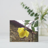 Gele roos. briefkaart (Staand voorkant)