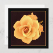 Gele roos, foto uit 2004. (Voorkant / Achterkant)