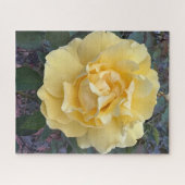 Gele Roos, Oakland Legpuzzel (Horizontaal)