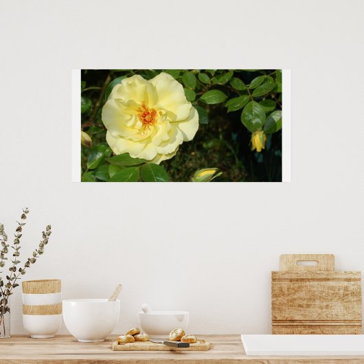 gele roos poster (Keuken)