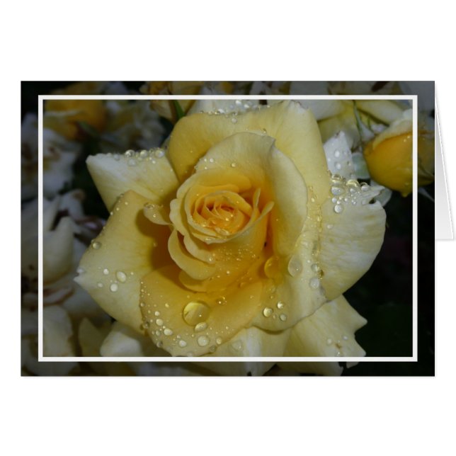 Gele Rose (Voorkant Horizontaal)