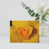 Gele Rose Briefkaart (Staand voorkant)