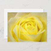 Gele Rose Briefkaart (Voorkant / Achterkant)