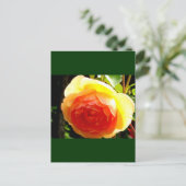 Gele Rose Briefkaart (Staand voorkant)