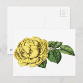 Gele Rose Briefkaart (Voorkant / Achterkant)