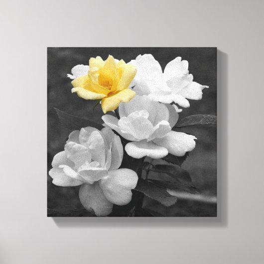Gele Rose Cluster Gedeeltelijke kleur Canvas Afdruk (Voorkant)