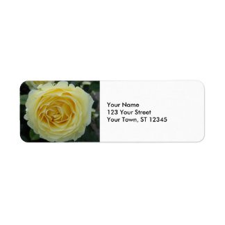 Gele Rose Etiket