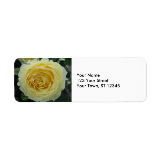 Gele Rose Etiket (Voorkant)