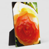 Gele Rose Fotoplaat (Zijkant)