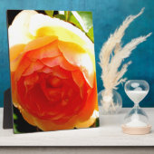 Gele Rose Fotoplaat (Zijkant)