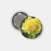 Gele Rose Magneet (Voorkant / Achterkant)