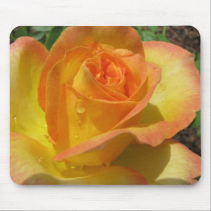 Gele Rose Muismat