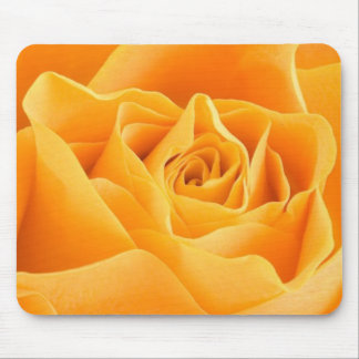 Gele Rose Muismat