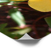 Gele Rose of Sharon Print (Hoek)