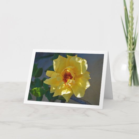 Gele Rose Portret Kaart (Voorkant)