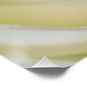 Gele Rose Poster Print Perfect Poster (Hoek)