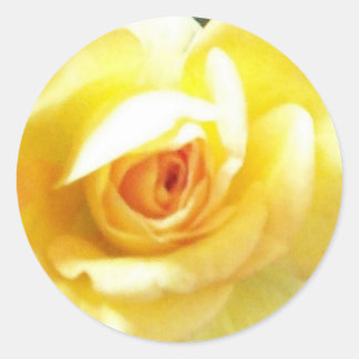 Gele Rose Ronde Sticker