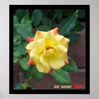 Gele Rose uit Texas Poster