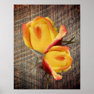 Gele rosebud bloemen op het bord poster