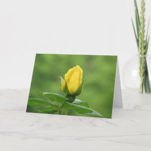 Gele rosebud kaart