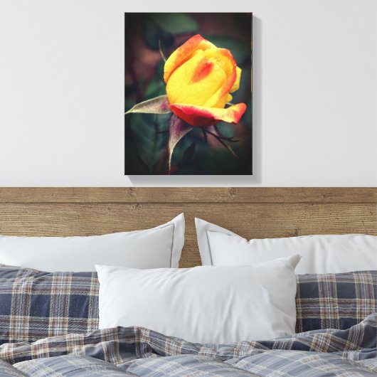 Gele rosebud met rode hooglichten canvas afdruk (Insitu (Slaapkamer))