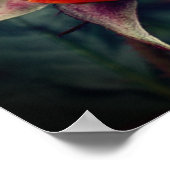 Gele rosebud met rode hooglichten poster (Hoek)