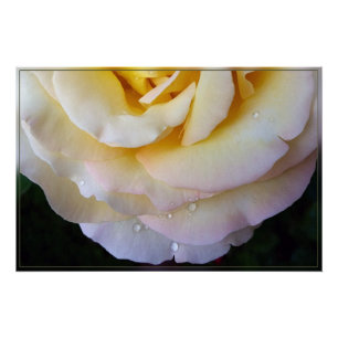 Gele roze bladen perfect poster