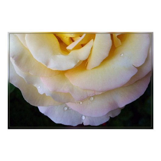 Gele roze bladen perfect poster (Voorkant)