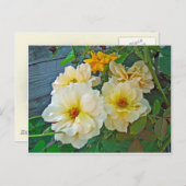 Gele rozen briefkaart (Voorkant / Achterkant)