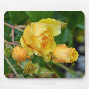Gele rozen drukken mousepad muismat
