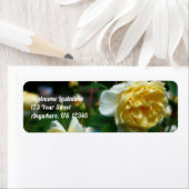 Gele rozen in het Bloom Orton Effect Adres Etiket (Insitu)