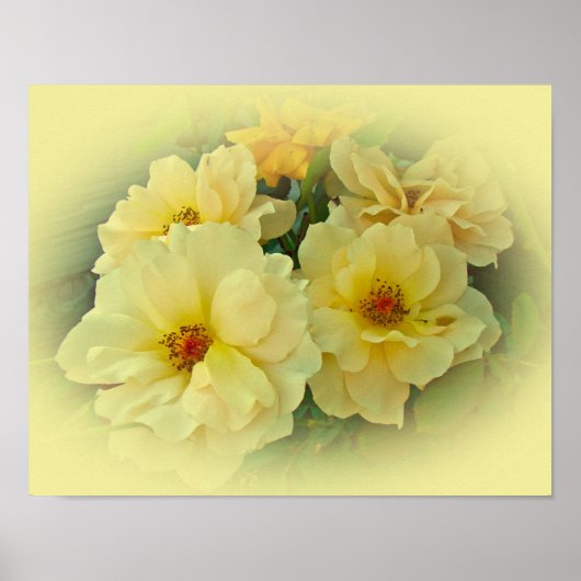 Gele rozen poster (Voorkant)