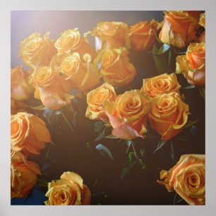 Gele rozen poster