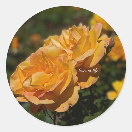 Gele Rozen Ronde Sticker (Voorkant)