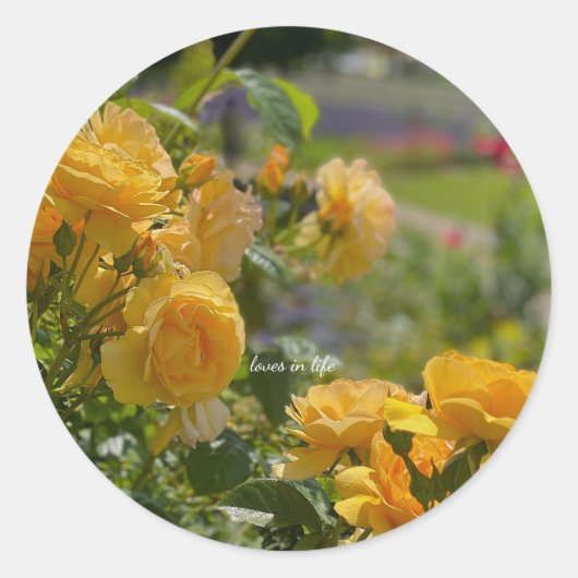 Gele Rozen Tuin Ronde Sticker (Voorkant)