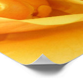 Gele rozenafdrukken poster (Hoek)