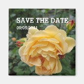 Gele rozenbloem magneet (Voorkant)