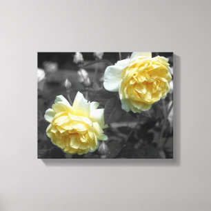 Gele rozenbloemen Gedeeltelijke kleur Canvas Afdruk
