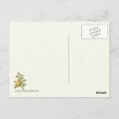  gele rozenbotanische druk briefkaart (Achterkant)